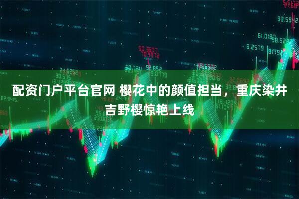 配资门户平台官网 樱花中的颜值担当，重庆染井吉野樱惊艳上线